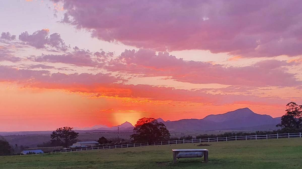 Outeniqua Moon Percheron Stud Farm Ruiterbos Kültér fotó