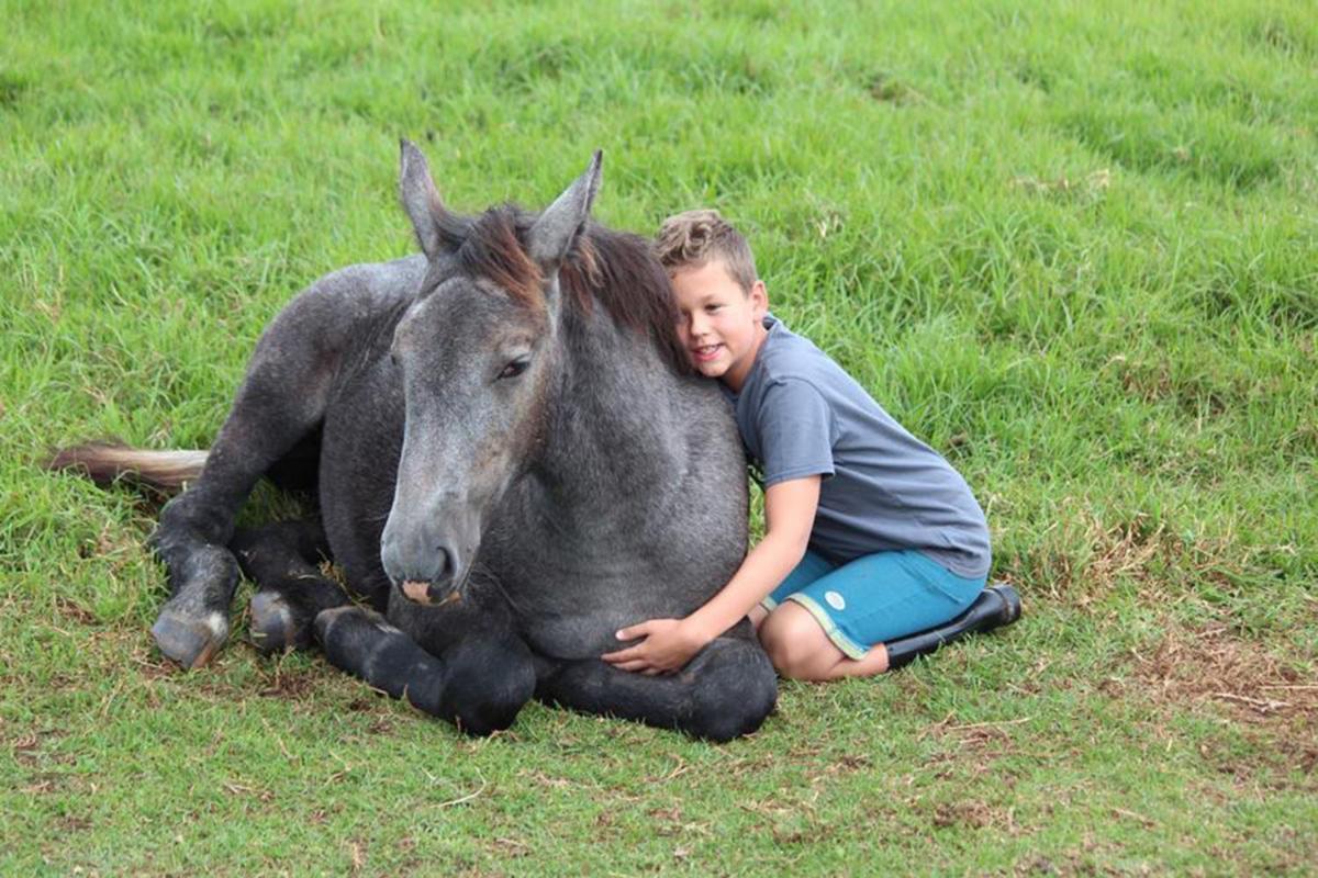 Outeniqua Moon Percheron Stud Farm Ruiterbos Kültér fotó