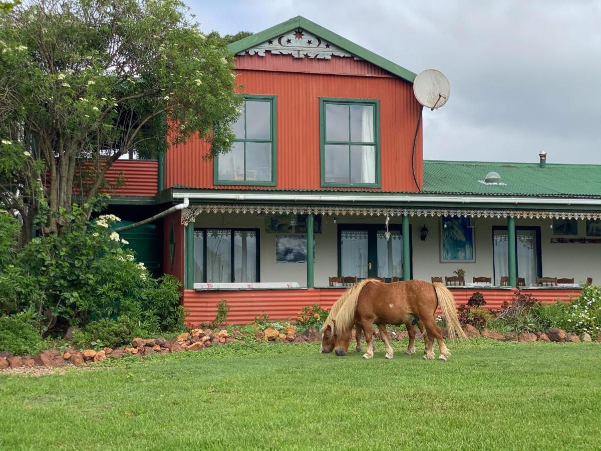 Outeniqua Moon Percheron Stud Farm Ruiterbos Kültér fotó