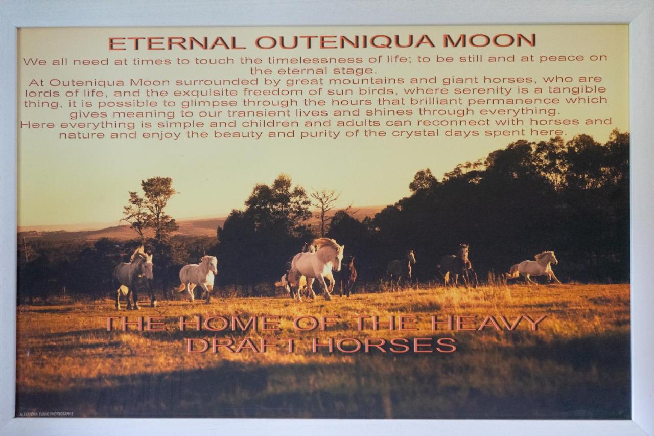 Outeniqua Moon Percheron Stud Farm Ruiterbos Kültér fotó