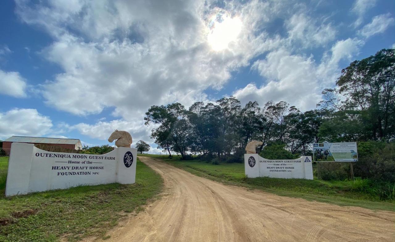 Outeniqua Moon Percheron Stud Farm Ruiterbos Kültér fotó