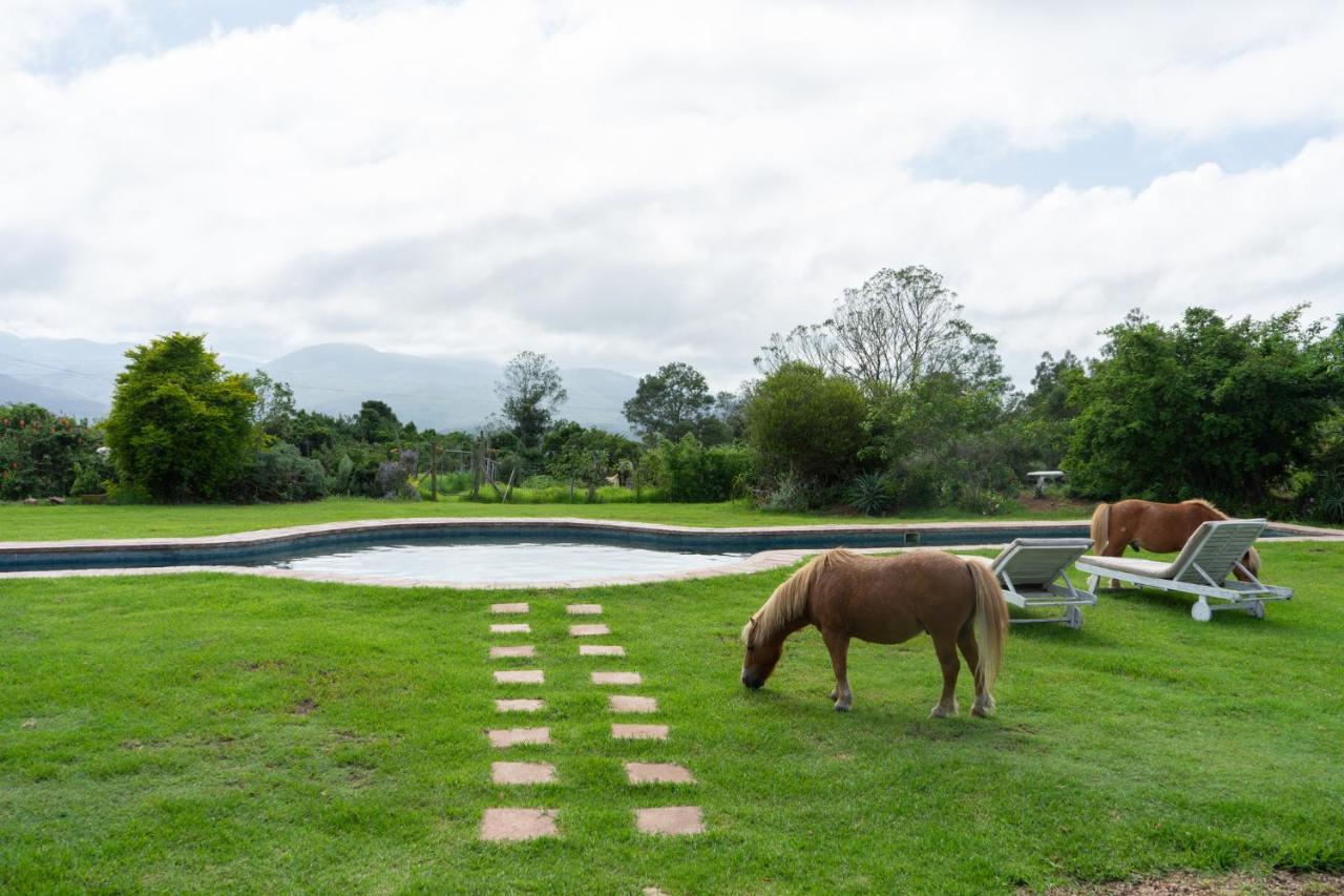 Outeniqua Moon Percheron Stud Farm Ruiterbos Kültér fotó